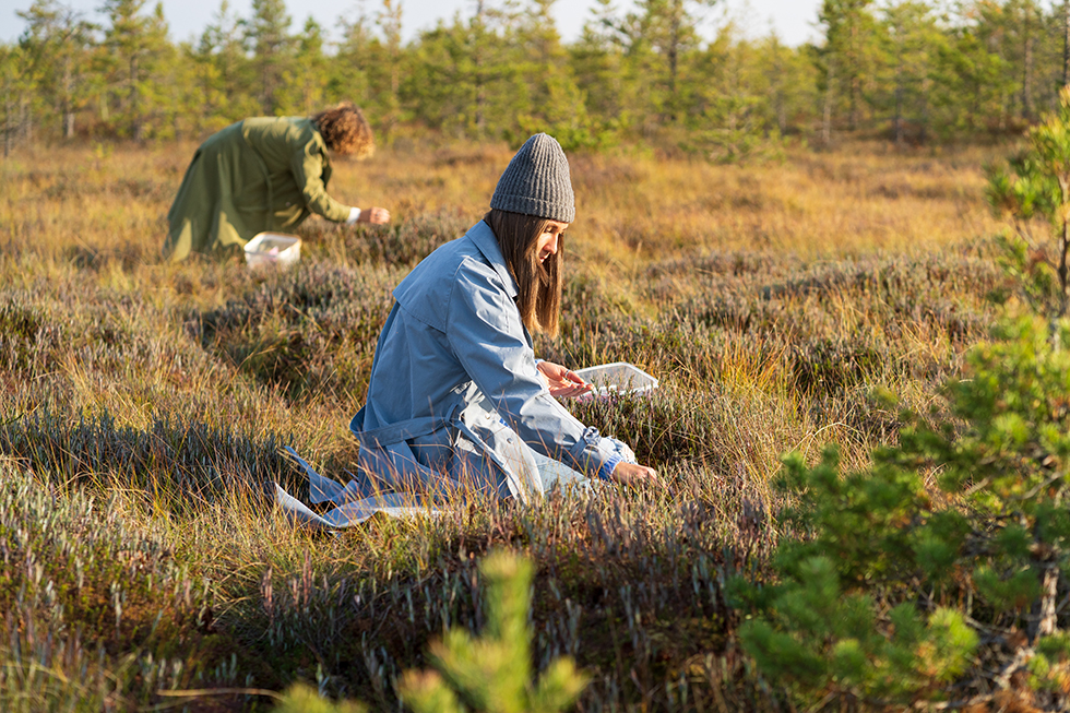 Bridging Innovation and Practice: The AQUAGRI-KNOW Ambassadors Programme Bridging Innovation and Practice: The AQUAGRI-KNOW Ambassadors Programme